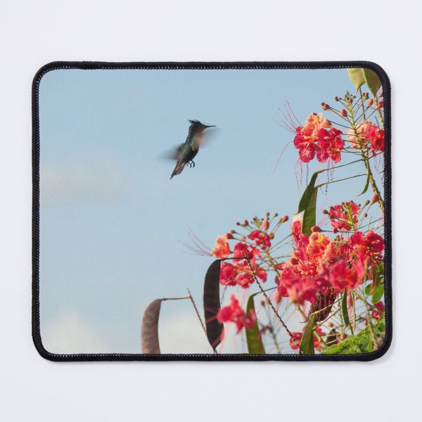 Item preview, Hummingbird close to flowers,Grenada. designed and sold by sandyprints.