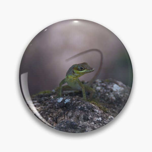 Item preview, Small green Grenadan lizard. designed and sold by sandyprints.