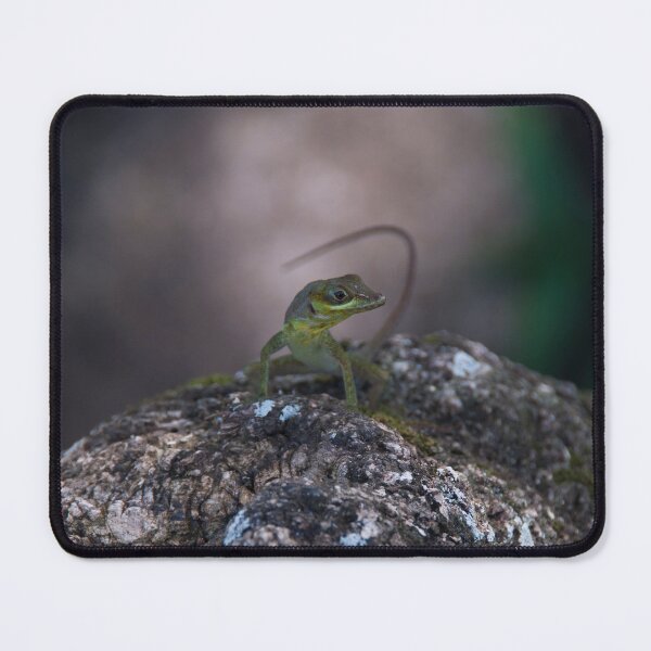 Item preview, Small green Grenadan lizard. designed and sold by sandyprints.