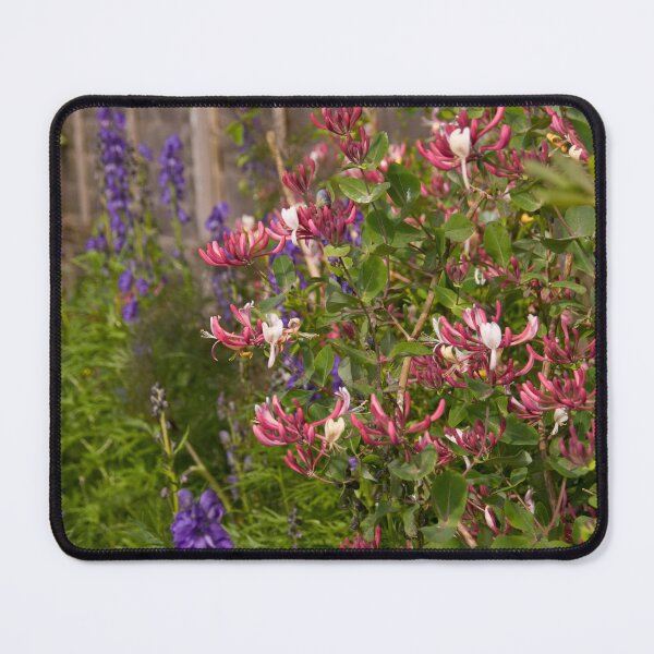 Item preview, Honey suckle in an English garden. designed and sold by sandyprints.
