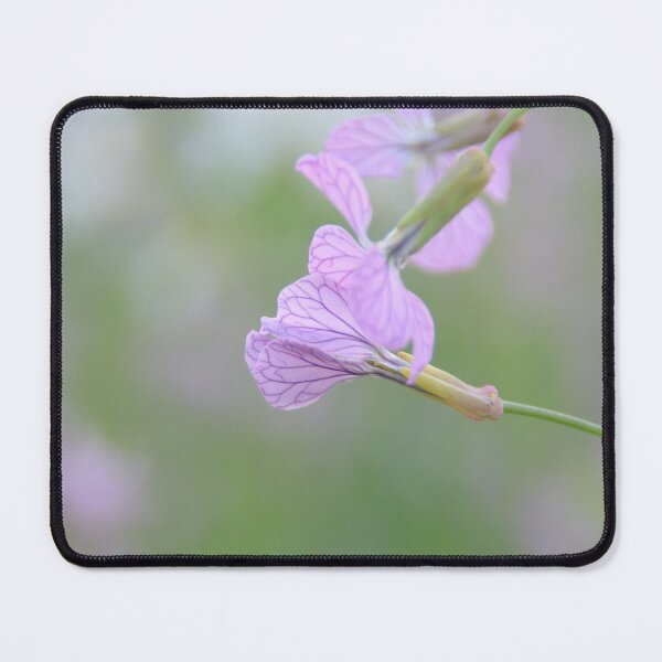 Item preview, Soft focus purple flower. designed and sold by sandyprints.