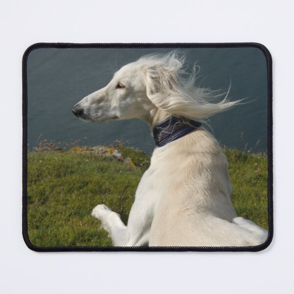 Item preview, Saluki on guard with wind in hair. designed and sold by sandyprints.