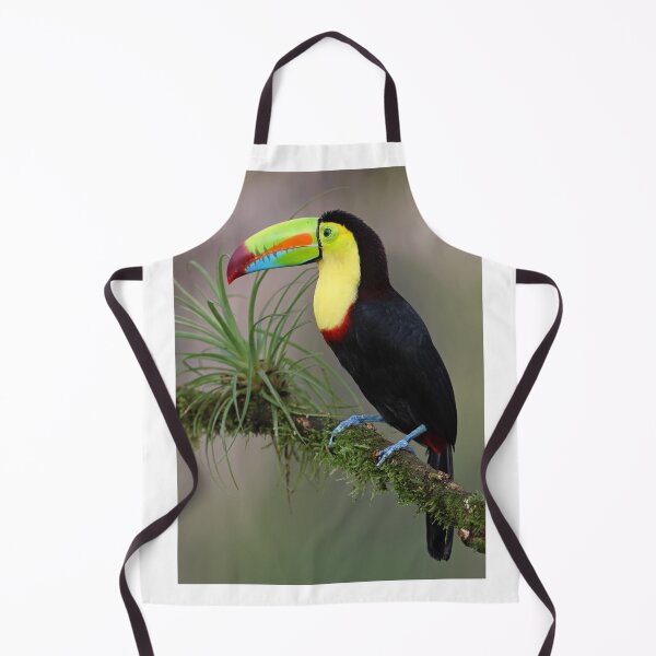 Item preview, Keel -billed Toucan designed and sold by Anthony Goldman.