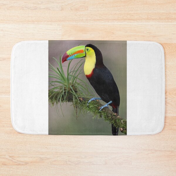 Item preview, Keel -billed Toucan  designed and sold by Anthony Goldman.