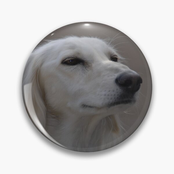 Item preview, Smiling Saluki sight hound. designed and sold by sandyprints.