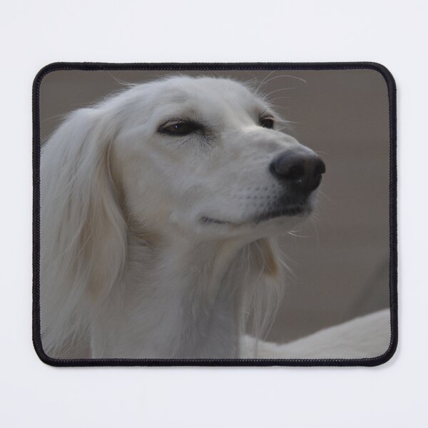 Item preview, Smiling Saluki sight hound. designed and sold by sandyprints.