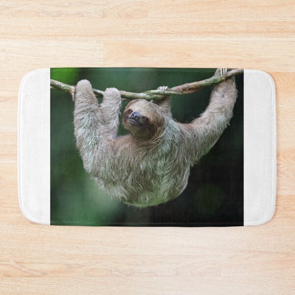 Item preview, Three Toed Sloth ! designed and sold by Anthony Goldman.