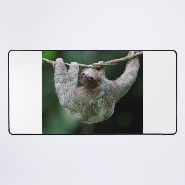 Item preview, Three Toed Sloth ! designed and sold by Anthony Goldman.
