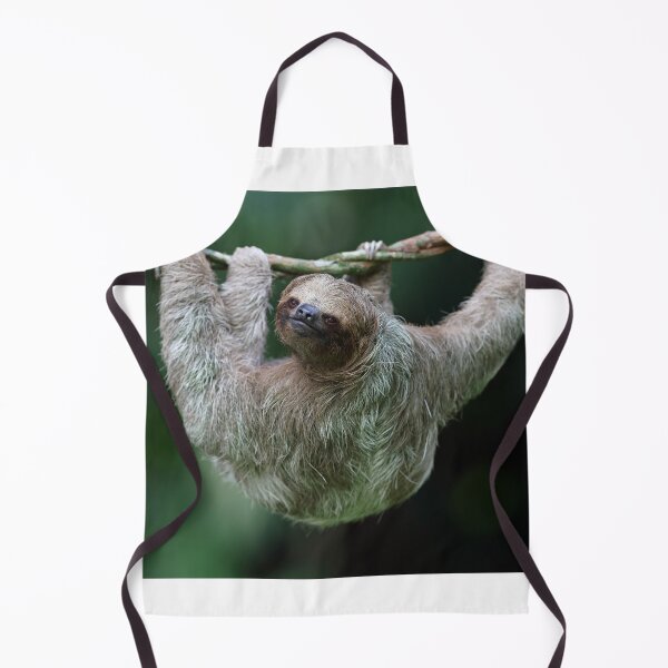 Item preview, Three Toed Sloth ! designed and sold by Anthony Goldman.
