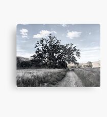Oak Tree Metal Print