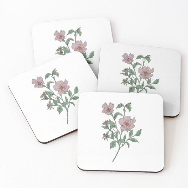 Item preview, flower anatomy designed and sold by MidnightRainn.