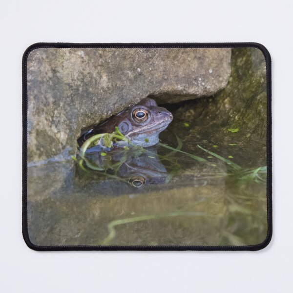Item preview, Common Frog designed and sold by LaurenTucker.
