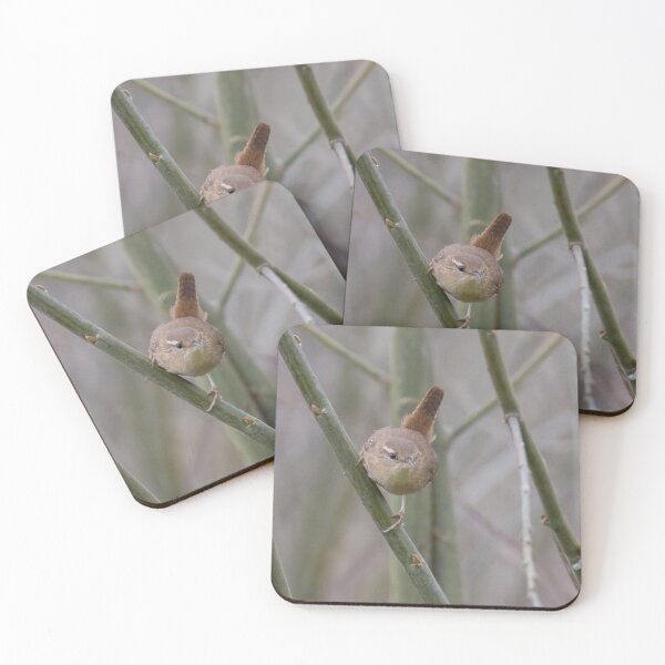 Item preview, Wren designed and sold by LaurenTucker.