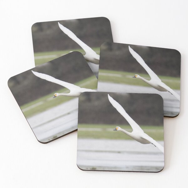 Item preview, Bewick Swan designed and sold by LaurenTucker.