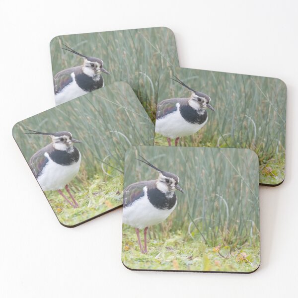 Item preview, Lapwing designed and sold by LaurenTucker.