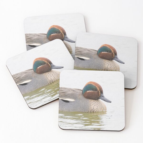 Item preview, Eurasian Teal designed and sold by LaurenTucker.