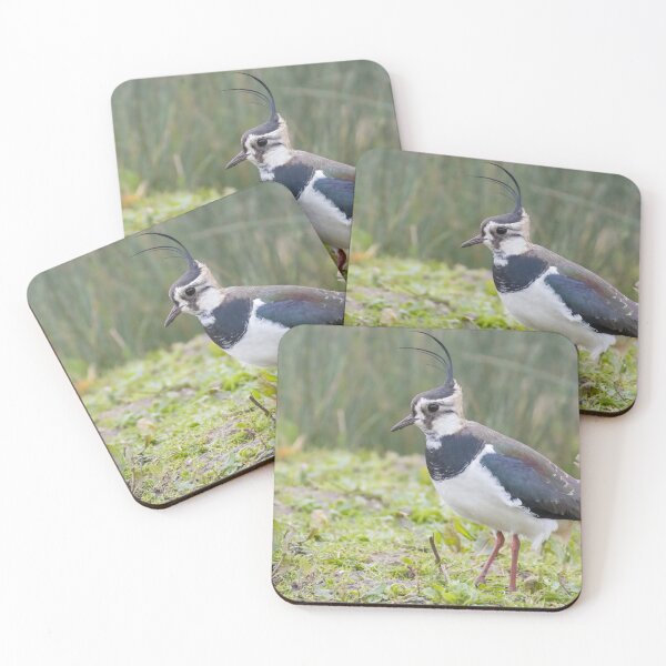 Item preview, Lapwing designed and sold by LaurenTucker.
