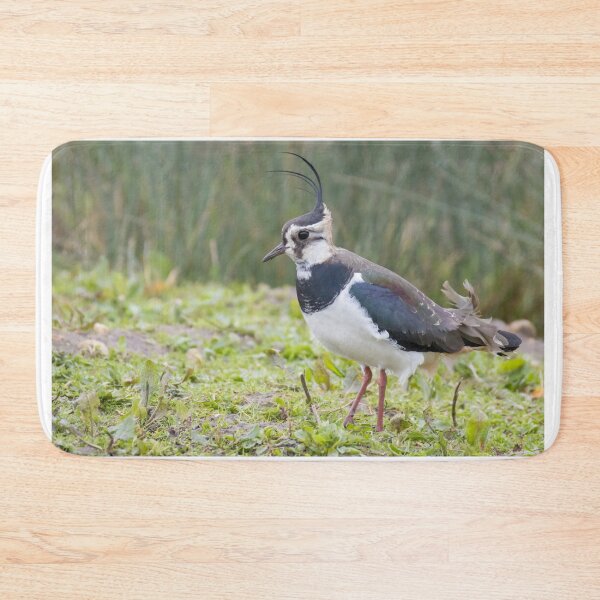 Item preview, Lapwing designed and sold by LaurenTucker.