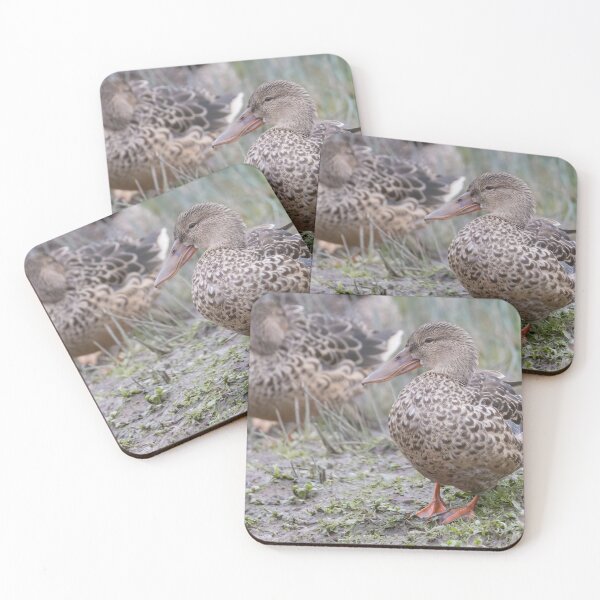 Item preview, Shoveler designed and sold by LaurenTucker.