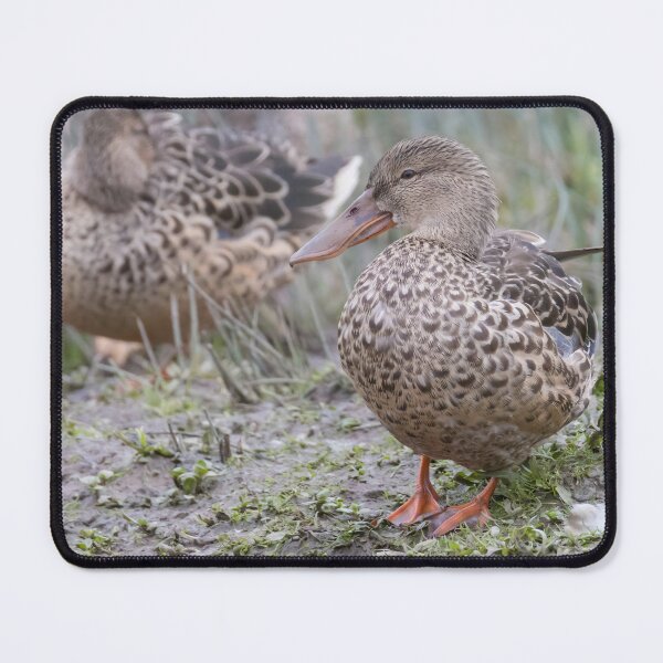 Item preview, Shoveler designed and sold by LaurenTucker.