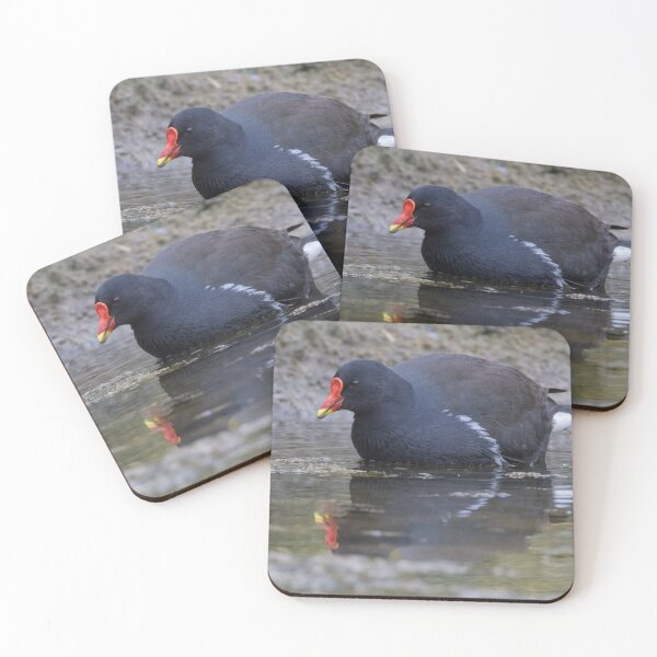 Item preview, Moorhen designed and sold by LaurenTucker.