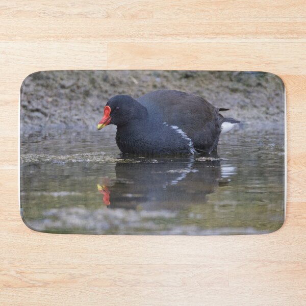 Item preview, Moorhen designed and sold by LaurenTucker.