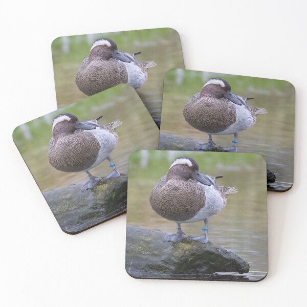 Item preview, Garganey designed and sold by LaurenTucker.