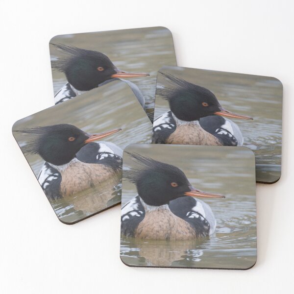 Item preview, Red Breasted Merganser designed and sold by LaurenTucker.