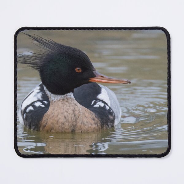 Item preview, Red Breasted Merganser designed and sold by LaurenTucker.