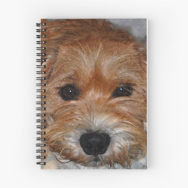 Item preview, Benji  designed and sold by ArkansasLisa.