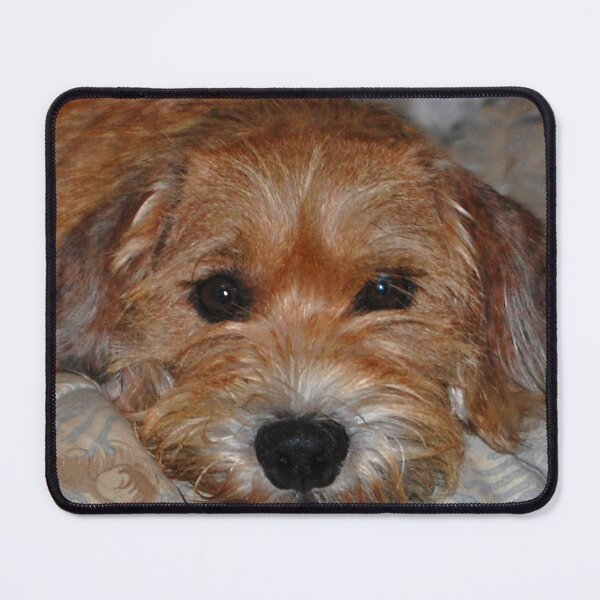 Item preview, Benji designed and sold by ArkansasLisa.