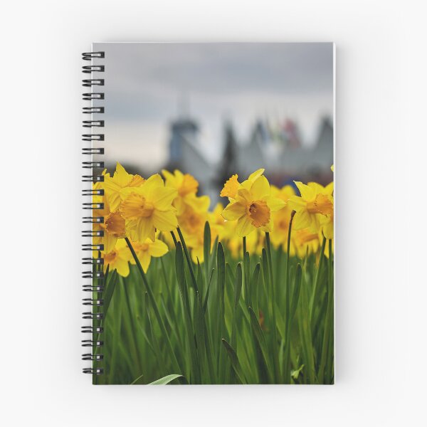 Item preview, Beautiful yellow daffodils designed and sold by ThomasFoto.