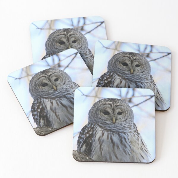 Item preview, Beautiful barred owl designed and sold by locustgirl.