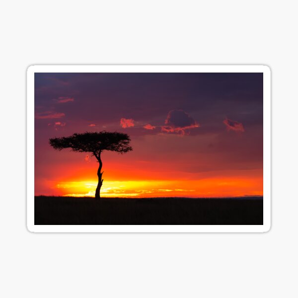 Sunset on the Masai Mara, Kenya Sticker