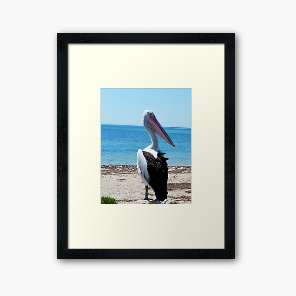 Item preview, "Watchful Eyes: The Pelican's Fishy Ambition" designed and sold by A-Work-Of-Art.