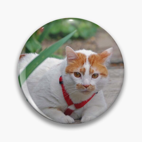 Item preview, Big Boy designed and sold by ArkansasLisa.
