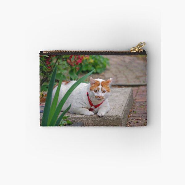 Item preview, Big Boy designed and sold by ArkansasLisa.