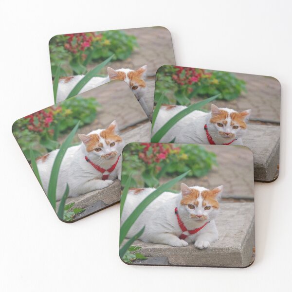 Item preview, Big Boy designed and sold by ArkansasLisa.