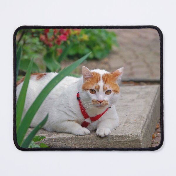 Item preview, Big Boy designed and sold by ArkansasLisa.