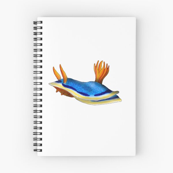 Item preview, Chromodoris annae designed and sold by lucamendieta.