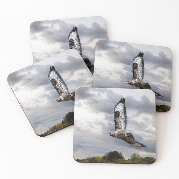 Item preview, Buzzard in Flight designed and sold by Tom McPherson Photography.