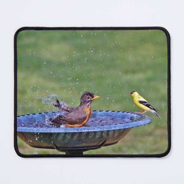 Item preview, Splashing Away designed and sold by ArkansasLisa.
