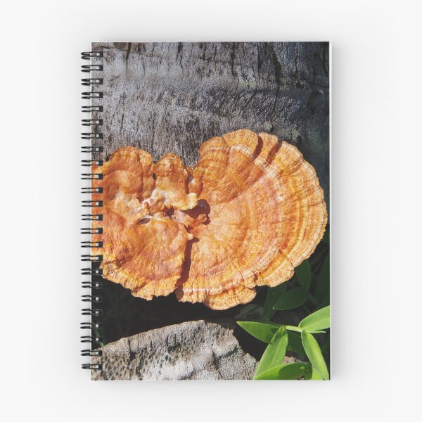 Item preview, Cinnabar Bracket Mushroom in the Philippines designed and sold by The Botanical Jason.