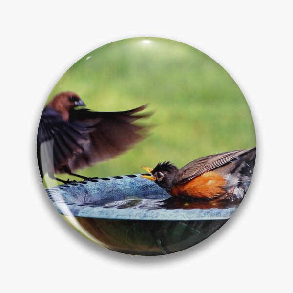 Item preview, Back Off!! designed and sold by ArkansasLisa.