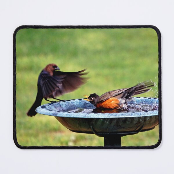 Item preview, Back Off!! designed and sold by ArkansasLisa.