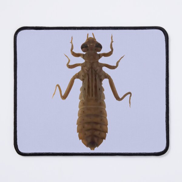 Item preview, Ozark Clubtail nymph V1 designed and sold by Glasgorn.