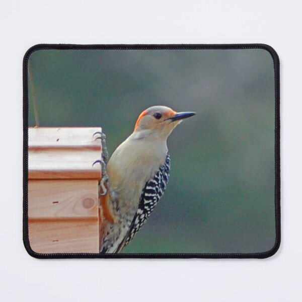 Item preview, Watchful designed and sold by ArkansasLisa.