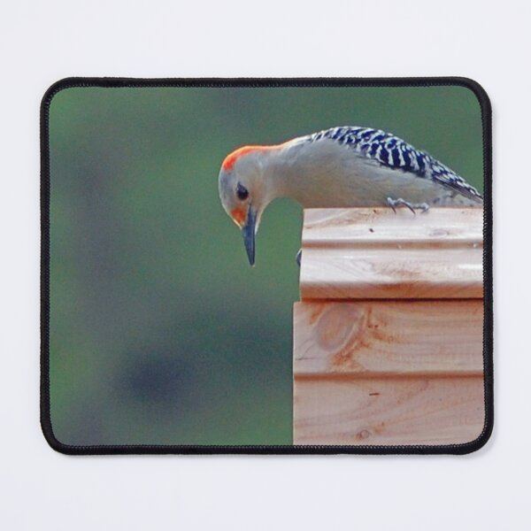 Item preview, Hey... What's Down There? designed and sold by ArkansasLisa.