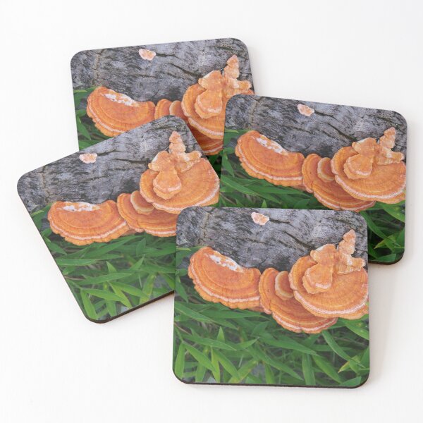 Item preview, Cinnabar Bracket Mushroom in the Philippines designed and sold by The Botanical Jason.