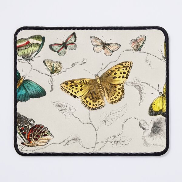 Item preview, Vintage Butterfly Art Symbols of Rebirth designed and sold by CulturalCurios.